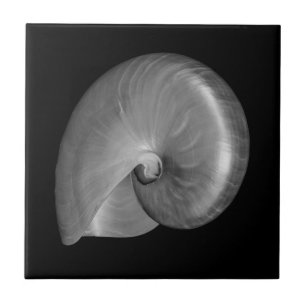 Carreau En Céramique Coquille de nautile noir et blanc