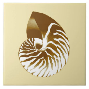 Carreau En Céramique Coquille de Nautilus - marron, blanc et beige