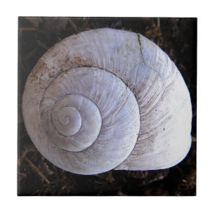 Carreau En Céramique Coquille d'escargot cool