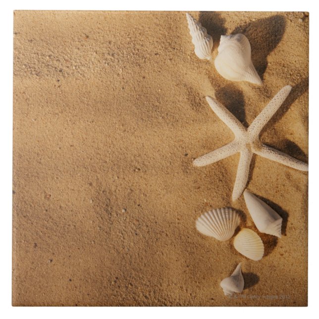 Carreau En Céramique Coquilles de mer sur le sable (Devant)
