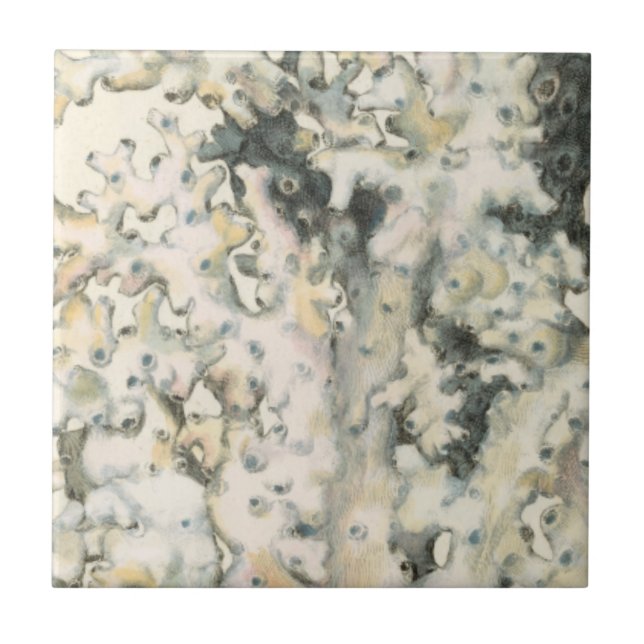 Carreau En Céramique Corail d'aquarelle antique (Devant)