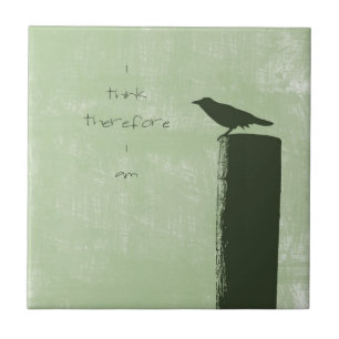 Carreau En Céramique Corbeau