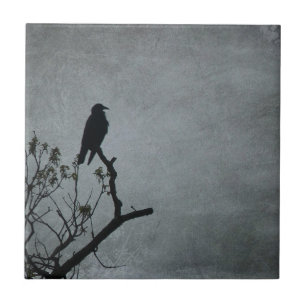 Carreau En Céramique Corbeau