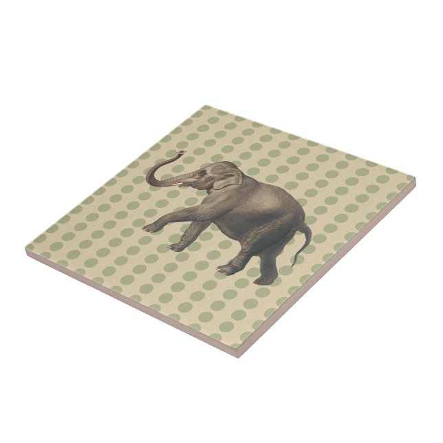 Carreau En Céramique Coriander Spice Moods Doses avec éléphant (Côté)
