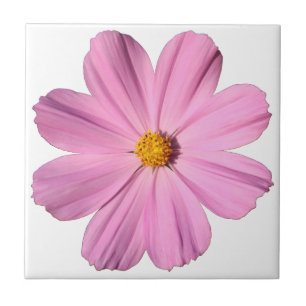 Carreau En Céramique Cosmos roses