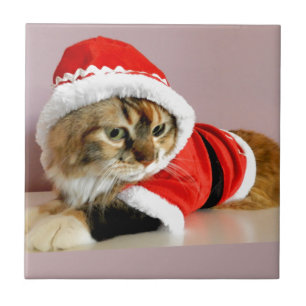 Carreau En Céramique Costume de Père Noël de chat de minou de Joyeux