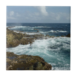 Carreau En Céramique Côte rocheuse d'Aruba et océan bleu