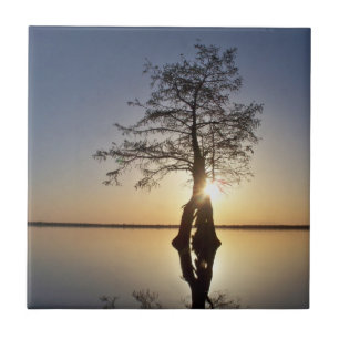 Carreau En Céramique Coucher de soleil derrière un arbre