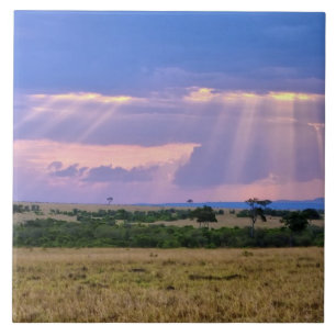Carreau En Céramique Coucher de soleil sur le Masaï Mara.