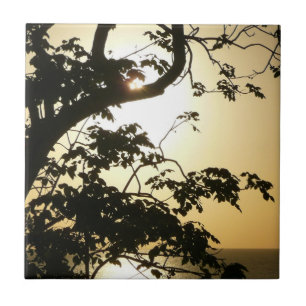 Carreau En Céramique Coucher du soleil à travers les arbres II Photogra