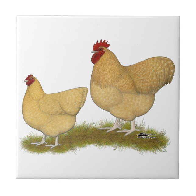 Carreau En Céramique Coucou de citron d'Orpingtons (Devant)