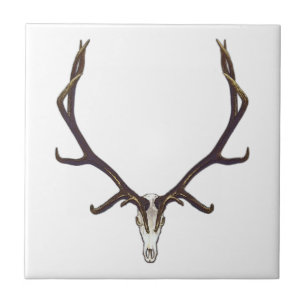 Carreau En Céramique Couleur de crâne d'élans de Taureau