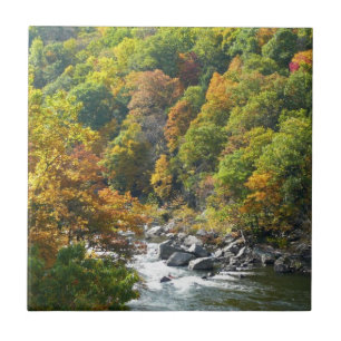 Carreau En Céramique Couleurs d'automne au parc d'État d'Ohiopyle