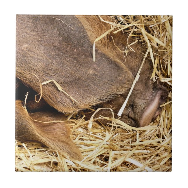 CARREAU EN CÉRAMIQUE COUPER (Devant)