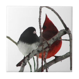 Carreau En Céramique Couple insolite d'oiseaux amoureux