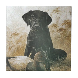 Carreau En Céramique Couvrez de tuiles le leurre vintage de chien