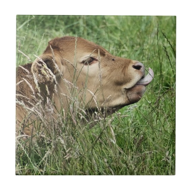 Carreau En Céramique COW Cute (Devant)