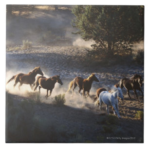 Carreau En Céramique Cowboy avec le troupeau de chevaux