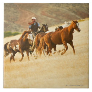 Carreau En Céramique Cowboy vivant en troupe les chevaux 3