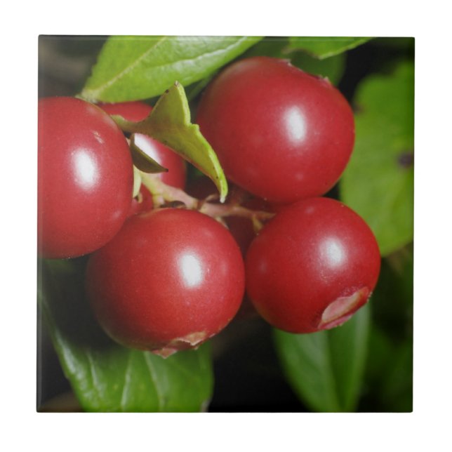 Carreau En Céramique Cranberry (Devant)