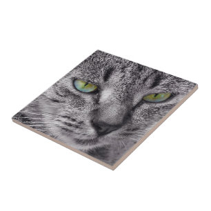 Carreau En Céramique Créez votre propre tuile carré - chat tabby