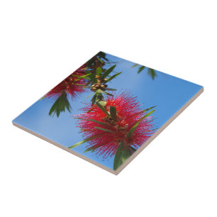 Carreau En Céramique Créez votre propre tuile carrée - bottlebrush