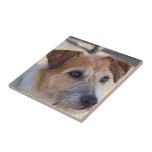 Carreau En Céramique Créez votre propre tuile carrée - chien mignon