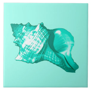 Carreau En Céramique Croquis de coquille de conque - turquoise, blanc