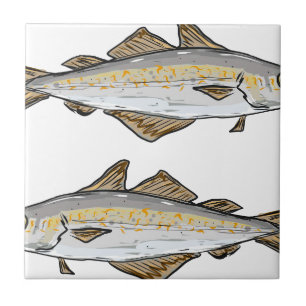 Carreau En Céramique Croquis de poissons de colin