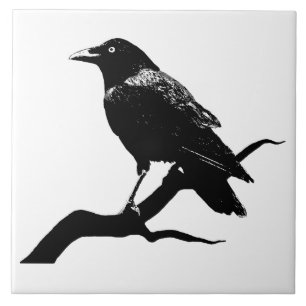 Carreau En Céramique Crow (homonymie)