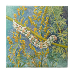 Carreau En Céramique Cucullia Absinthii Wormwood