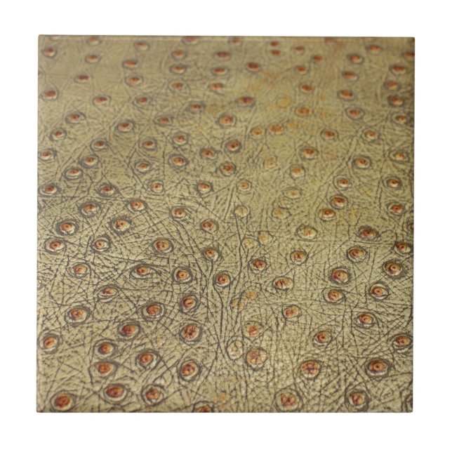 CARREAU EN CÉRAMIQUE CUIR TEXTURISÉ D'AUTRUCHE DE FAUX (Devant)