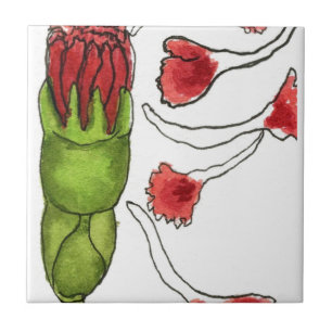 Carreau En Céramique Cuisine "Flower Bud" Jardin Carrelage céramique