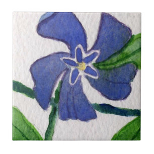 Carreau En Céramique Cuisine "Vinca Vine" Jardin Carrelage céramique