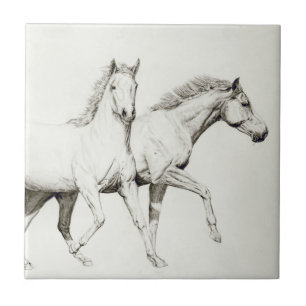Carreau En Céramique Customisez un cheval