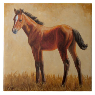 Carreau En Céramique Cute Bay Quarter Foie de cheval