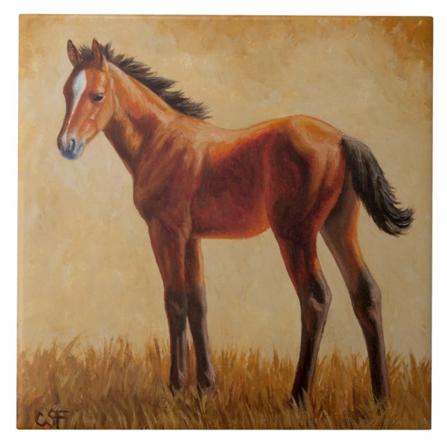 Carreau En Céramique Cute Bay Quarter Foie de cheval (Devant)