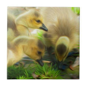 Carreau En Céramique Cute Gosling