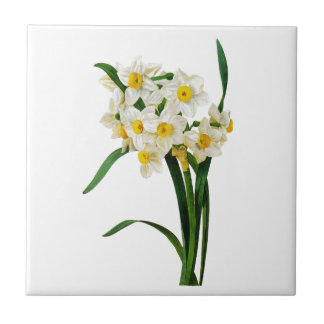 Carreau En Céramique Daffodique ou Narcisse Par Pierre Joseph Redoute
