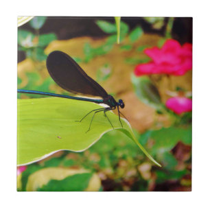 Carreau En Céramique Damselfly et Rose