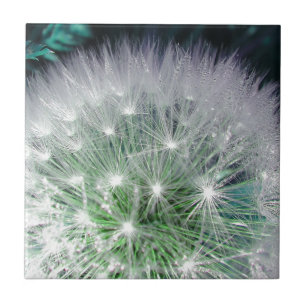Carreau En Céramique Dandelion cool vert et blanc avec gouttes d'eau