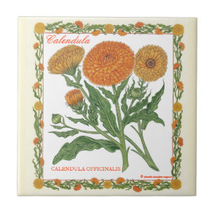 Carreau En Céramique Dans la tuile de Calendula de ~ de jardin
