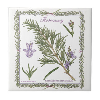 Carreau En Céramique Dans la tuile de Rosemary de ~ de jardin