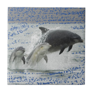 Carreau En Céramique Dauphins