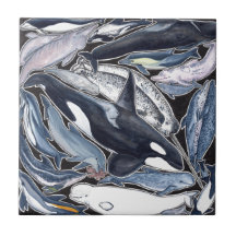 Dauphins, orques, belugas et narvales