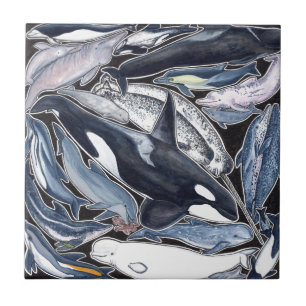 Carreau En Céramique Dauphins, orques, belugas et narvales