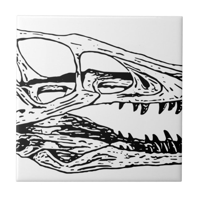 Carreau En Céramique Deinonychus (Devant)