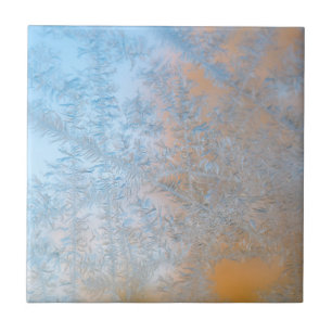 Carreau En Céramique Délicat motif au gel, Wisconsin