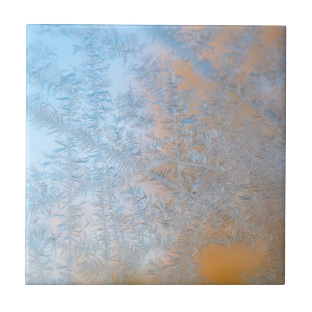 Carreau En Céramique Délicat motif au gel, Wisconsin (Devant)