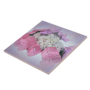 Carreau En Céramique Dentelles rose et violet Casquette Hydrangea Fleur